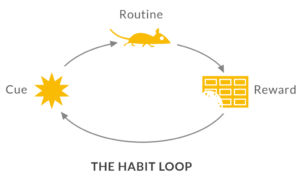 Habit Loop - Actuarial Exam Study Tips